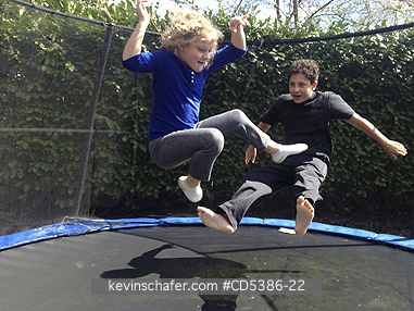 CHILDREN: Theo and Maya Braibish, playing on trampoline