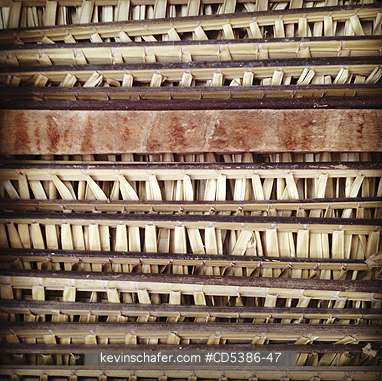 GUYANA: UNDERSIDE OF THATCHED ROOF, KARANAMBU RANCH, GUYANA