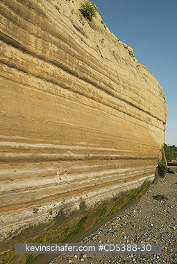 WASHINGTON, GEOLOGY: Varve deposits, alternating layers of glacial muds and silts from Pleistocene lake. Discovery Park, Seattle, Washington