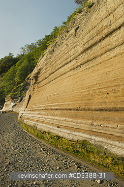 WASHINGTON, GEOLOGY: Varve deposits, alternating layers of glacial muds and silts from Pleistocene lake. Discovery Park, Seattle, Washington