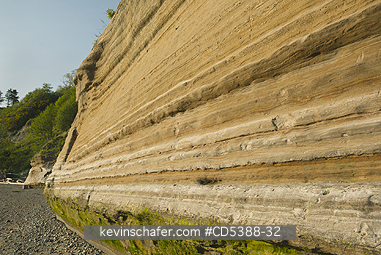 WASHINGTON, GEOLOGY: Varve deposits, alternating layers of glacial muds and silts from Pleistocene lake. Discovery Park, Seattle, Washington
