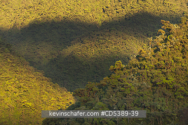 PERU, SCENIC: Rainforest Sunrise, Manu National Park, Cosnipata Valley, Southeast Peru