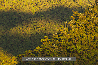 PERU, SCENIC: Rainforest Sunrise, Manu National Park, Cosnipata Valley, Southeast Peru