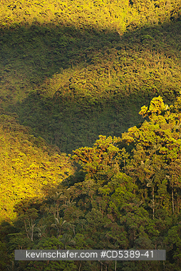 PERU, SCENIC: Rainforest Sunrise, Manu National Park, Cosnipata Valley, Southeast Peru