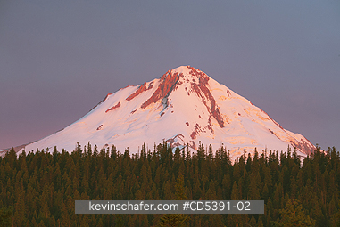 OREGON, SCENIC: Mt. Hood at dawn from Five Mile Butte, Mt. Hood National Forest, elevation 11,250\\\' (3,429 m)