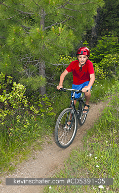 OREGON, PEOPLE: Theo Braibish, aged 12, Mountain-biking, Mt. Hood National Forest, Oregon