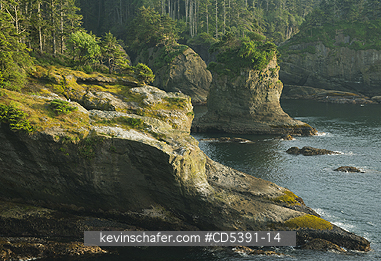 WASHINGTON, SCENIC: Cape Flattery, NW Coast of USA, Olympic Peninsula, Washington