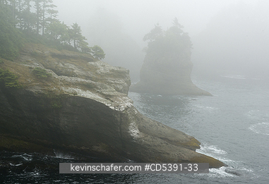 WASHINGTON, SCENIC: Fog at Cape Flattery, NW tip of USA,  Olympic Peninsula, Washington