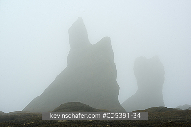 WASHINGTON, SCENIC: Fog at Portage Head, Shi Shi Beach, Olympic National Park,   Olympic Peninsula, Washington