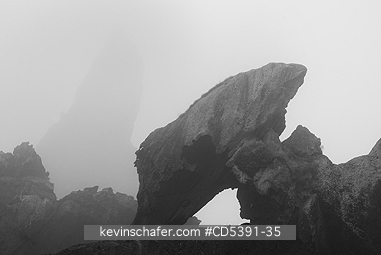WASHINGTON, SCENIC: Fog at Portage Head, Shi Shi Beach, Olympic National Park,   Olympic Peninsula, Washington