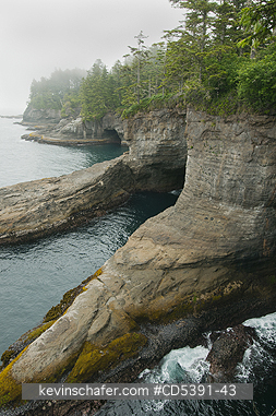 WASHINGTON, SCENIC:  Cape Flattery, NW Point of 48 States, Olympic Peninsula, Washington