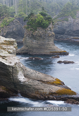 WASHINGTON, SCENIC:  Cape Flattery, NW Point of 48 States, Olympic Peninsula, Washington