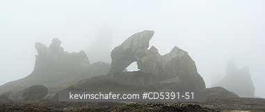 WASHINGTON, SCENIC: Fog on Portage Head rocks, Shi Shi Beach, Olympic National Park, Olympic Peninsula, Washington