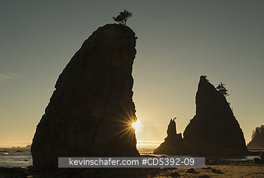 WASHINGTON, COAST: SUNSET AND SEASTACKS, Rialto Beach, Olympic National Park, Washington