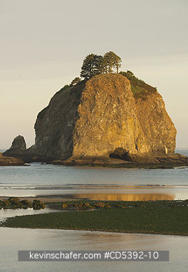 WASHINGTON, COAST: Sunrise View of Sea Stack from La Push, Rialto Beach, Olympic National Park, Washington
