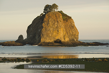 WASHINGTON, COAST: Sunrise View of Sea Stack from La Push, Rialto Beach, Olympic National Park, Washington