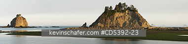 WASHINGTON, COAST:  Sea Stacks at dawn, across Quileute River,, Rialto Beach, Olympic National Park, Washington, Panoramic