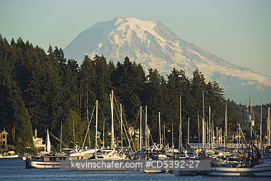 WASHINGTON, CITIES: Mt. Rainier, 14,410 feet high, looms above boat harbour, Gig Harbor, Washington, USA