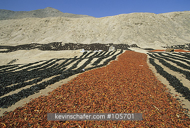 PERU: Peru, Coastal desert north of Lima, Peppers drying outdoors.