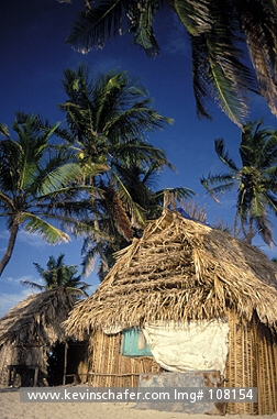 HONDURAS: Honduras, Bay Islands, Los Cochinos Island, Fisherman's village.
