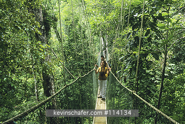 BRAZIL: Brazil, Bahia state, Una area, Atlantic Forest, eco-tourism, Uno \\\