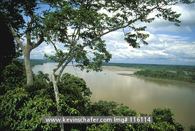 ECUADOR: Ecuador, Amazon Basin, Napo River, View of the river from above.
