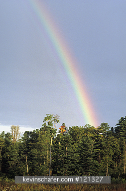 RUSSIA: Russia, Russian Far East, Bikin River area, Rainbow over deciduous forest, This area is the last remaining Siberian tiger habitat.