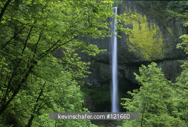 OREGON, USA: Columbia Gorge, Talbot State Park, Latourell Falls, 249 feet high, June.