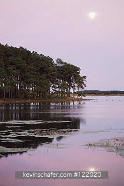 USA, VIRGINIA: Chinocoteague National Wildlife Refuge, sunset, Virginia, USA.