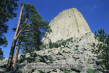 WYOMING, DEVILS TOWER: USA, Wyoming, Devils Tower, Devils Tower National Monument, 867 feet high, perfect example of columnar basalt.