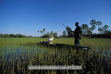 BOTSWANA: Botswana, Okavango Delta, Tourist travelling by makoro.