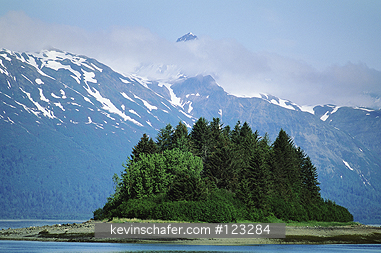 ALASKA, GLACIER BAY: Alaska, unnamed island, Glacier Bay National Park.