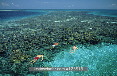 BELIZE: Belize, Barrier Reef, Lighthouse Reef, Blue Hole, Snorkelers along coral reef.