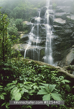 BRAZIL, RIO DE JANEIRO STATE: Brazil, Rio de Janeiro State, Itatiaia National park, 1100 m. elevation, Atlantic Rainforest, Ve de Noiva Falls.