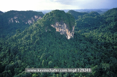 BELIZE: Belize, Caribbean Lowlands, Karst hills covered with forest.