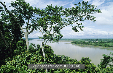 ECUADOR, NAPO RIVER: Ecuador, Napo River, Amazonia, lowland river, surrounded by rainforest.