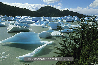 CHILE, PATAGONIA: Torres del Paine National Park, Lago Grey with icebergs.