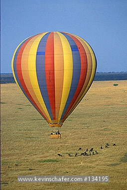 KENYA: Kenya, Masai Mara Reserve, Ballon safari above migrating animals.