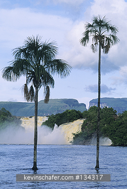 VENEZUELA: Venezuela, Canaima National Park, Hacha Falls, Rio Carrao, Dawn among tepuis.