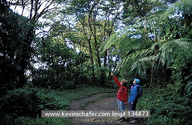 COSTA RICA: Costa Rica, Monteverde Cloud Forest Reserve, Tourists watch for birds.