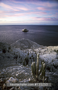 MEXICO: Mexico, Baja California, Isla San Pedro Martir, Looking out over the sea at sunset.
