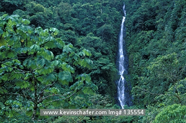 PERU, ANDES: Manu National Park, Cloud Forest waterfall at approx. 1500m elevation.