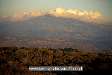 COSTA RICA: Costa Rica, Santa Rosa National Park, Dry season in February.