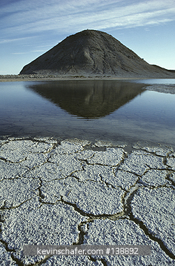 MEXICO, BAJA: Isla Angel de la Guarda, Sea of Cortes, Stromatolite Mats in saline pool. Stromatolite Mats are a primative life form that may represent the earliest form of life on the planet earth.