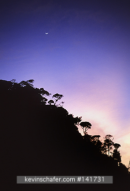 ECUADOR, ANDES: Andes Mountains, Sangay National Park, sunset over cloud forest at 300m.