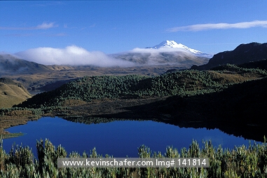 EUCADOR, ANDES: Andes Mountains, Cayambe-Coca Reserve at approx. 3500m elevation.  Paramo and Cayambe Volcano with approx. elevation of 5790m.