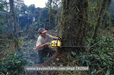 ECUADOR: Ecuador, Andes Mountains, Cloud Forest at 2700 meters, Deforestation, clearing for farms.