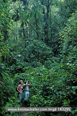 ECUADOR: Ecuador, Andes Mountains, Pahuma Private Reserve at 2000 meters, Tourists in the cloud forest.
