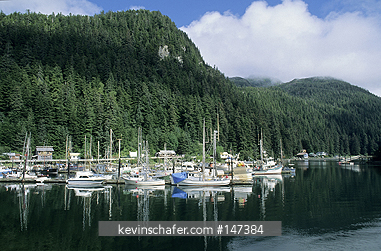 ALASKA: Elfin Cove, Chichagof Island, Southeast cities.