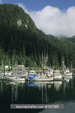 ALASKA: Elfin Cove, Chichagof Island, Southeast cities.